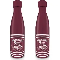 Pyramid Stripes Crest & Water Bottle Violet