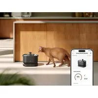 Petlibro Dockstream App Monitoring Water Fountain-black (with Extra Pump) Fontaine