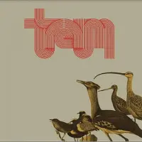Ginza.se Traum - Traum [Vinyl Lp] Colored Vinyl