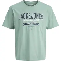 JACK&JONES JUNIOR Junior T-Shirt marine / vert pastel