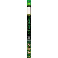 Exo Terra Lumière Pour Terrarium Repti Glo 2.0 14w
