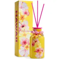 Ipuro Travel The World Hawaii diffuseur d'huiles essentielles avec recharge 240 ml