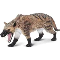 Safari S100126 - Hyaenodon gigas