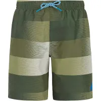 Protest James Swimming Shorts Vert 140 cm Garçon
