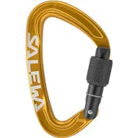 Salewa Mousqueton Ortles Screw