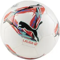 Puma Orbita Laliga 1 Ms Mini Football Multicolore Mini