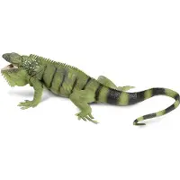 Safari animal de jeu iguane 28 cm vert