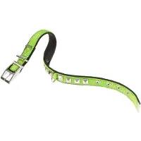 Ferplast Collier De Chien Dual 20 Mm 43 Cm