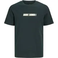 Jack & Jones Junior T-Shirt 'JJMUNK' vert clair / vert foncé / blanc