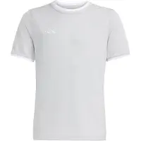 Adidas T-Shirt fonctionnel 'Entrada26' pierre / blanc
