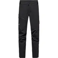Salewa Pantalon de randonnée Ortles GTX 3L Epe