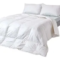 Homescapes Couette en duvet toutes saisons Premium 230 x 220 cm – Duvet de canard, classe thermique 3