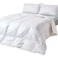 Homescapes Couette chaude haut de gamme toutes saisons 230 x 220 cm – duvet de canard, classe de chaleur 3-4