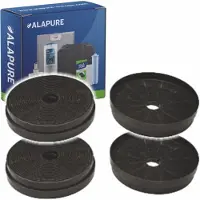 Alapure Filtre à charbon actif adapté pour Candy 49028857 / FCR17