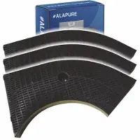 Alapure Filtre à charbon actif adapté pour Bosch 647277 / DHZ2400
