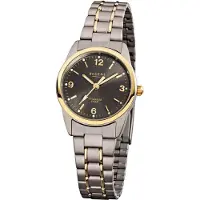 Regent Montre gris argent or F-429 Femme Montre analogique en titane URF429