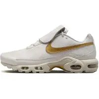 Nike Chaussure Nike Air Max Plus pour homme - Gris | Taille 40