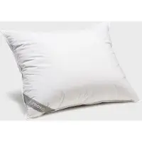 Yumeko - Oreiller - Duvet De Canard - 50x60 - Blanc