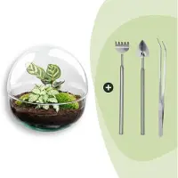 Urbanjngl Diy Terrarium - Dôme - ↕ 20 Cm
