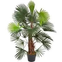 Homescapes Palmier bambou vert Lady Palm en pot, 90 cm