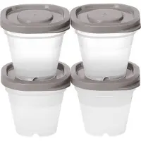 Smartstore 791770 boîte fraîcheur "Fresh", 4 x 50 ml