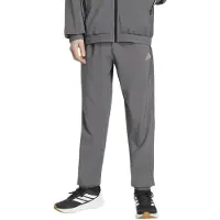 Adidas Pantalon de sport 'TECH APPAREL' gris / gris clair
