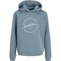 Jack & Jones Grayson Hoodie Bleu 12 Years Garçon