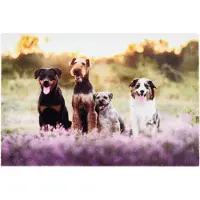 Tarres Paillasson Chiens Paillasson Intérieur Déco Chiens Polyamide -