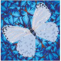 Diamond Dotz Set de peinture - Flutterby White Schmetterling 30x30 cm