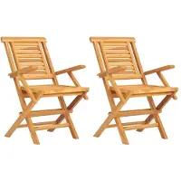vidaXL Chaises de jardin 2 pcs. Pliable 56x63x90 cm bois massif teck