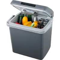 Moa Glacière Thermoélectrique Electric Coolbox, Avec fonction de chauffage, 12V et 230V, 32Litres, Gris