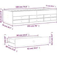 vidaXL Lit de jour avec tiroirs sans matelas 75x190 cm