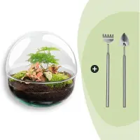 Urbanjngl Diy Terrarium - Dôme Rouge - ↕ 20 Cm