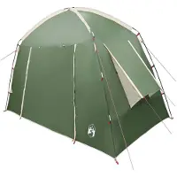 vidaXL Tente cabane avec toit, verte, 210 x 210 x 138 cm, en polyester