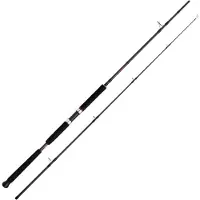 Shimano Fishing Vengeance Ax Pilk Jigging Rod Argenté 2.40 m / 100-200 g