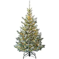 Evergreen Nobilis pin incl. guirlande lumineuse 150 cm vert 150 cm
