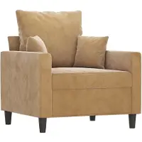 vidaXL Fauteuil marron 60 cm velours
