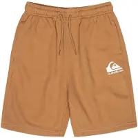 Quiksilver Easy Day Youth Sweat Shorts Marron 10 Years Garçon