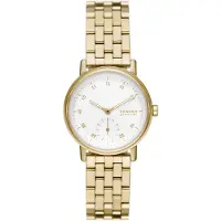Skagen Montre Femme Skagen Skw3102 - Doré Acier Inoxydable - Etanche 5 Atm