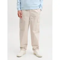 Jack & Jones Junior Pantalon 'JPStevan Crisp' gris clair
