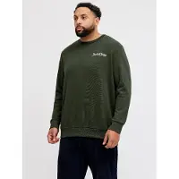 Jack & jones Plus Sweat-shirt beige / sable / vert / blanc