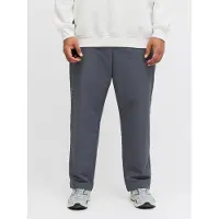 Jack & jones Plus Pantalon 'JPSTKANE' bleu-gris