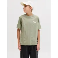 Jack & Jones Junior T-Shirt 'JORNorrebro' roseau / blanc