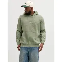 Jack & Jones Soho Plus Size Hoodie Vert 2XL / Regular Homme