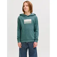 Jack & jones Junior Sweat 'JCOFusion' sable / sapin