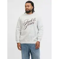 Jack & jones Plus Sweat-shirt bleu clair / brun foncé / gris clair