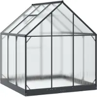 vidaXL Serre de jardin avec porte, anthracite, 183,5 x 183,5 x 207 cm