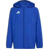 Adidas Entrada 26 Multi Jacket Bleu 15-16 Years Enfants
