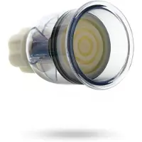 Master Series Intake Ventouse Anale - Transparent