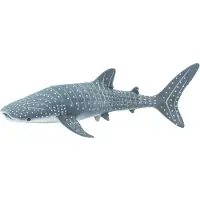 Safari Requin-baleine
